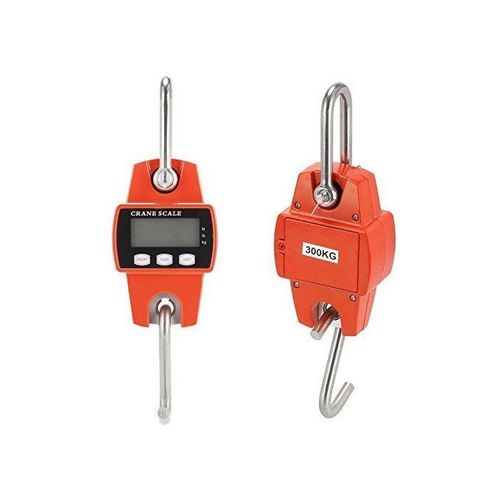 300 kg Industrial Crane Digital Weighing Scale