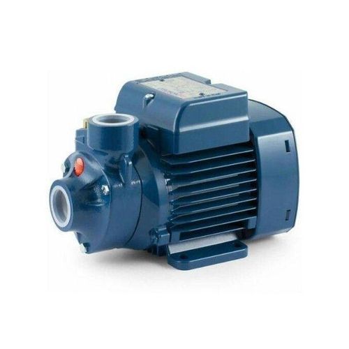 Pedrollo PKM60 Heavy Duty Water Pump - Blue 0.5 HP